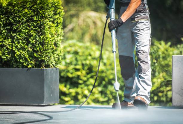 Best House Exterior Washing  in Big Pine, CA