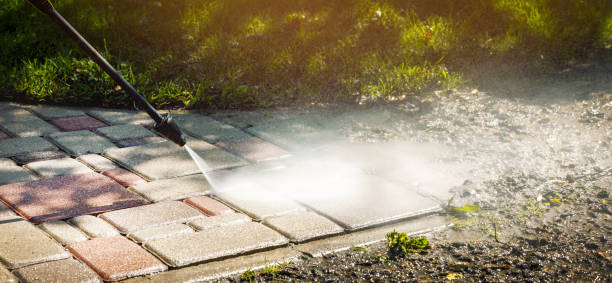Best Animal Enclosure Cleaning  in Big Pine, CA
